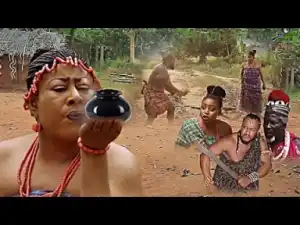 Video: The Deadly Queen Viper